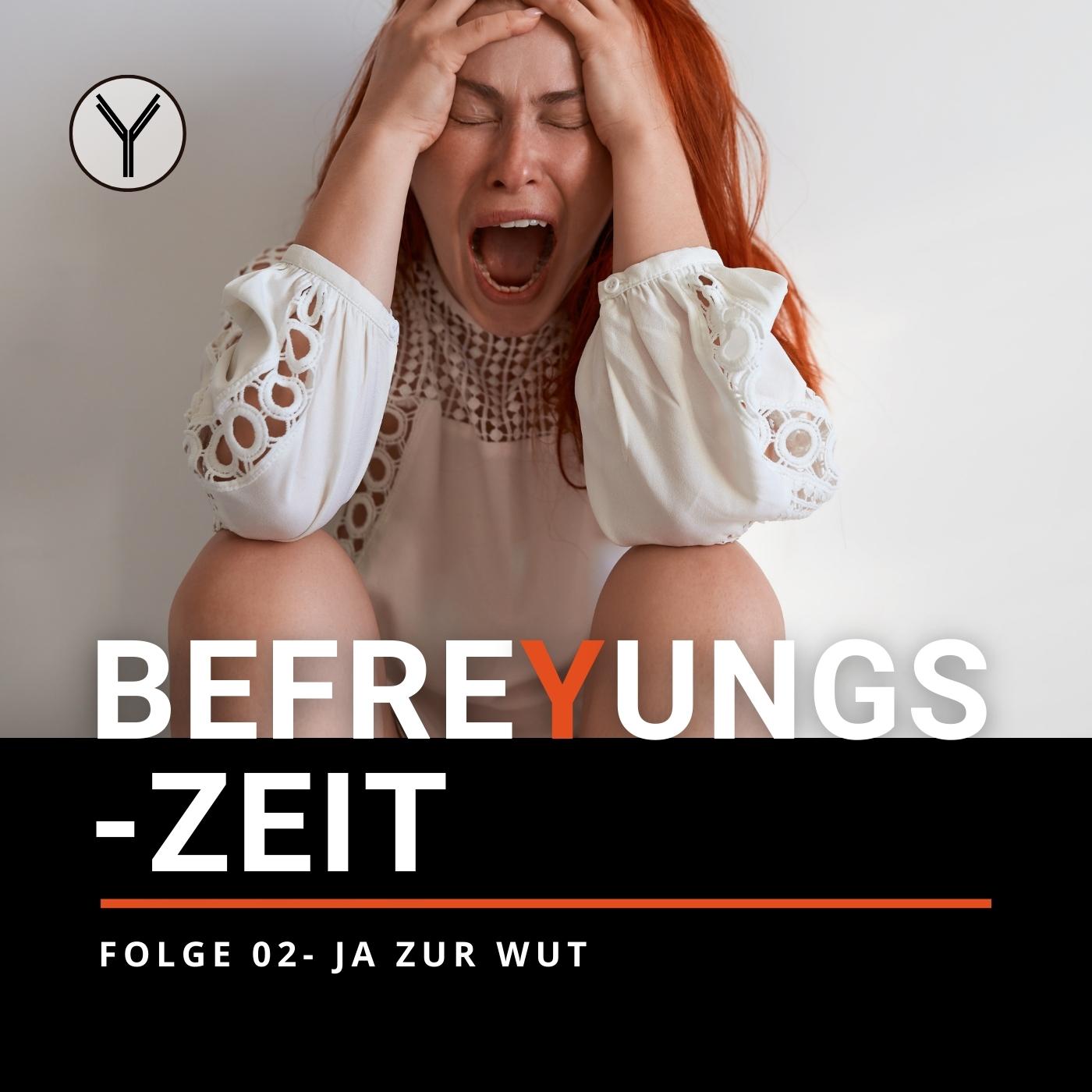 Ja zur WUT episode artwork