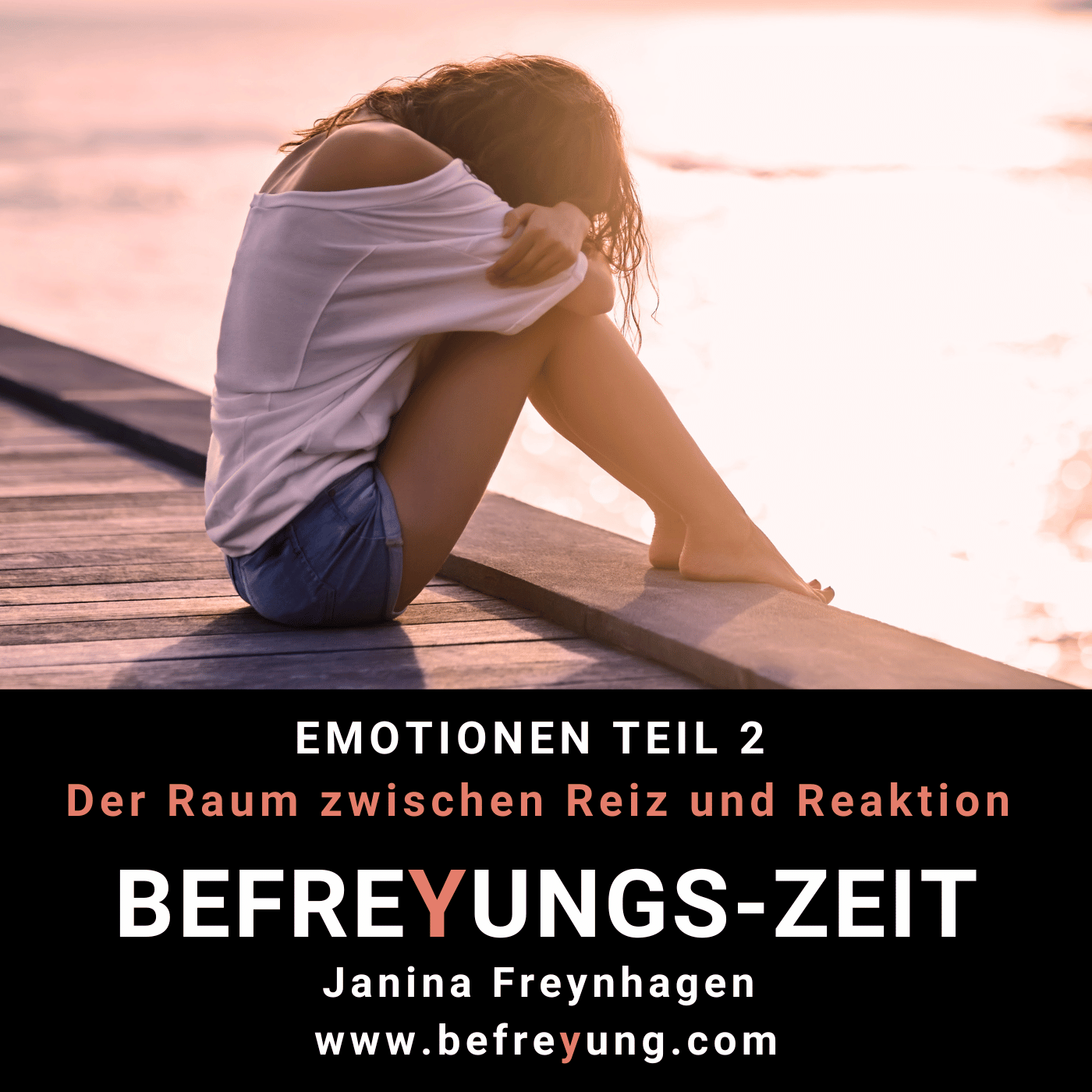 Der Raum zwischen Reiz und Reaktion. episode artwork